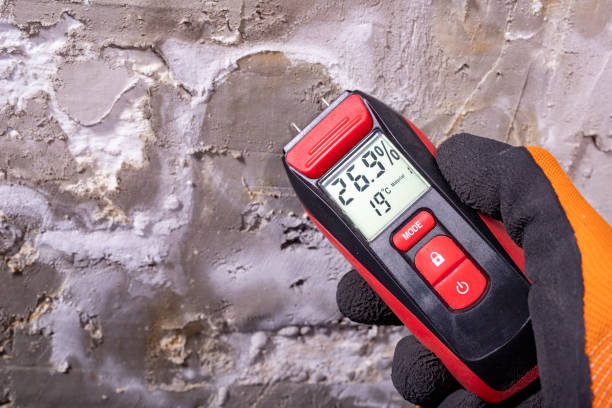 Trusted Roaming Shores, OH Mold Removal Experts
