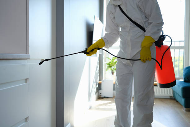 Best Office Mold Removal Services  in Roaming Shores, OH