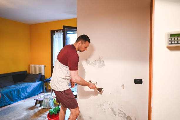 Best Same-Day Mold Removal  in Roaming Shores, OH